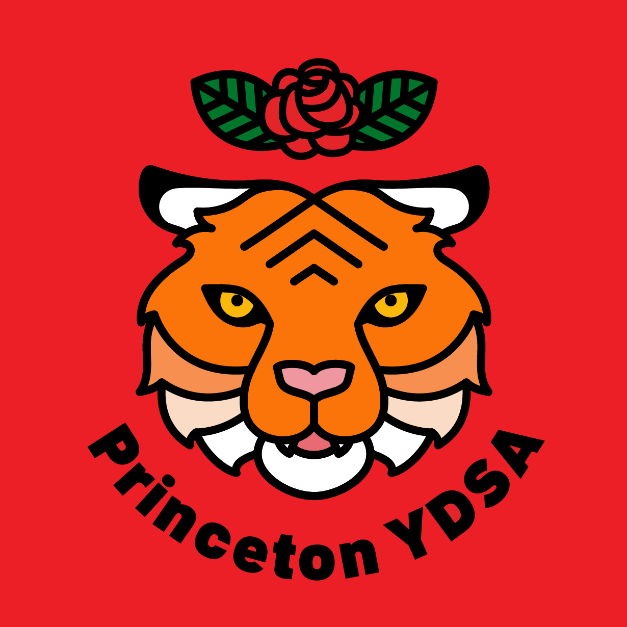 Princeton YDSA logo
